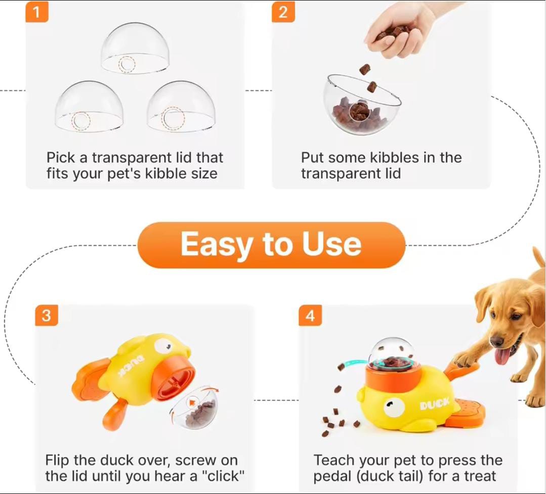 SnackyFish
