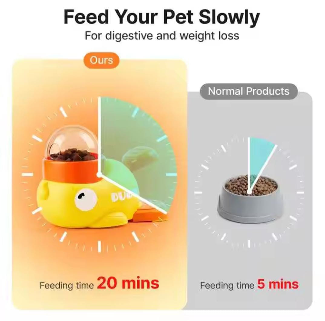 SnackyFish
