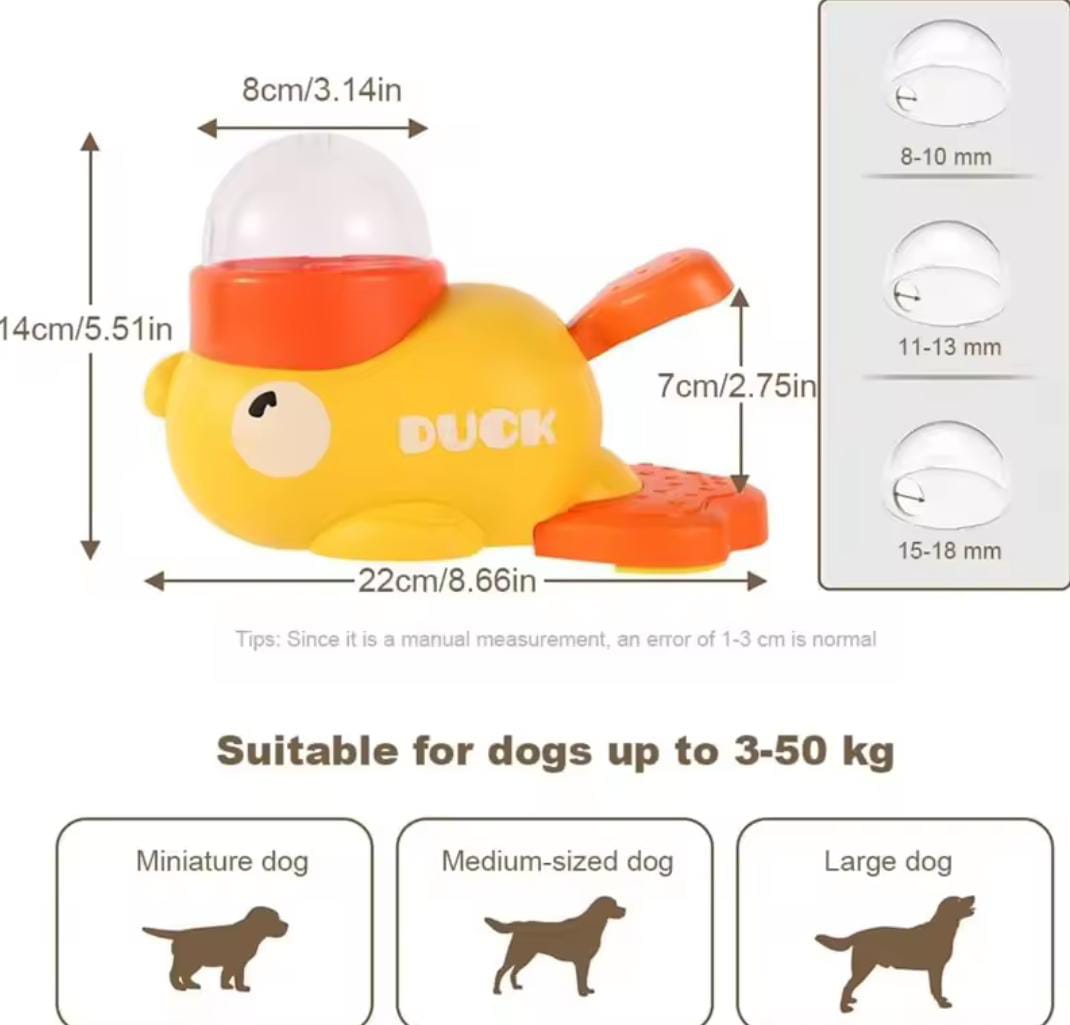 SnackyFish